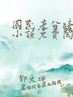 国民老公暗恋我小说免费阅读