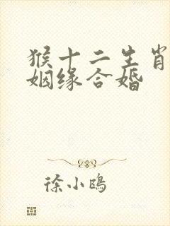 猴十二生肖配对姻缘合婚