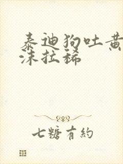 泰迪狗吐黄水带沫拉稀