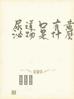 尿道口有黄色分泌物是什么原因