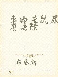 车内老鼠尿味怎么去除