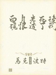 白月光死后沈昭砚恨透了我