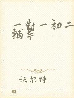 一对一初二地理辅导