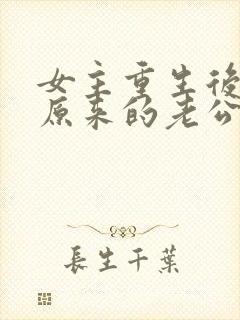 女主重生后嫁给原来的老公