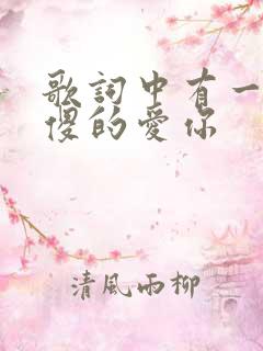 歌词中有一句傻傻的爱你