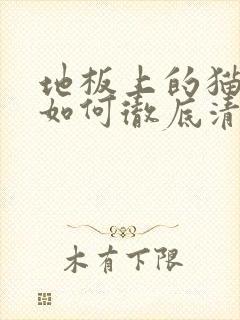 地板上的猫尿味如何彻底清除