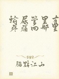 输尿管里有结石疼痛向哪里放射