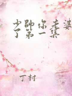 少帅你老婆又跑了第一集