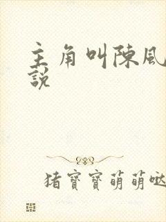 主角叫陈风的小说