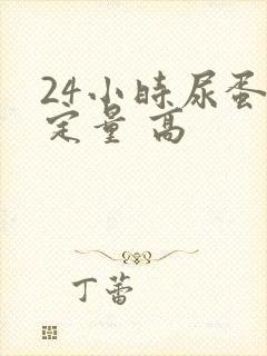 24小时尿蛋白定量 高