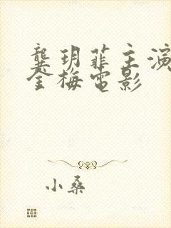 龚玥菲主演的新金梅电影