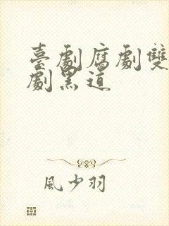 台剧腐剧双男主剧黑道