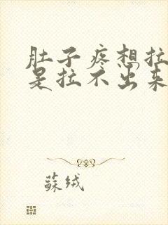 肚子疼想拉屎但是拉不出来怎么回事