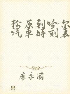 松原到哈尔滨的汽车时刻表查询