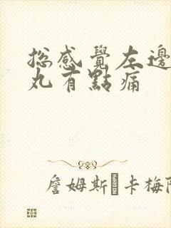 总感觉左边的睾丸有点痛