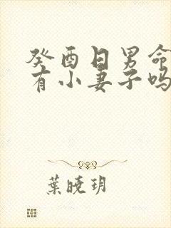 癸酉日男命晚年有小妻子吗