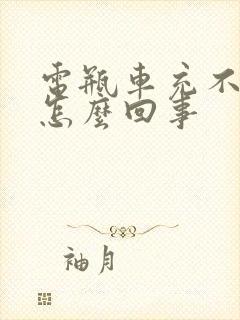 电瓶车充不进电怎么回事