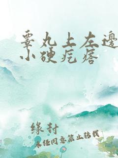 睾丸上左边有个小硬疙瘩