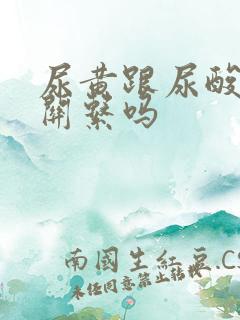 尿黄跟尿酸高有关系吗