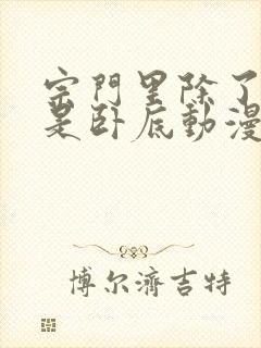 宗门里除了我都是卧底动漫全集免费