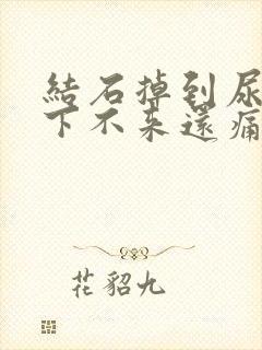 结石掉到尿道里下不来还痛怎么办