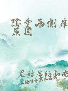 阴囊两侧痒什么原因