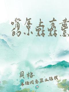 嘴唇上有黄白色的小点点怎么回事