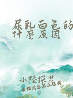 尿乳白色的尿是什么原因