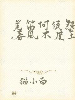 羌笛何须怨杨柳,春风不度玉门关意思