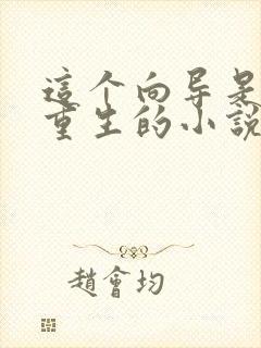 这个向导是不是重生的小说