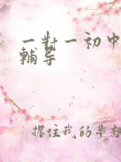 一对一初中补习辅导