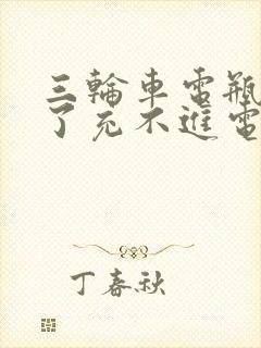 三轮车电瓶放久了充不进电怎么办