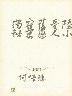 独宠旧爱陆少的秘密恋人小说txt