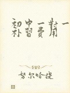 初中一对一数学补习费用