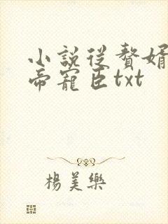 小说从赘婿到女帝宠臣txt