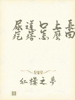 尿道口上长个肉疙瘩怎么回事