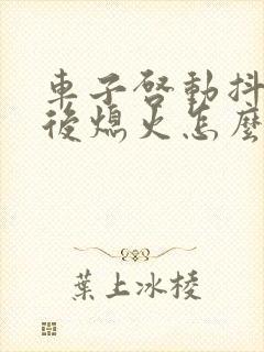 车子启动抖动然后熄火怎么回事