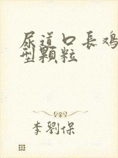 尿道口长鸡冠状型颗粒