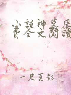 小说神墓辰东免费全文阅读