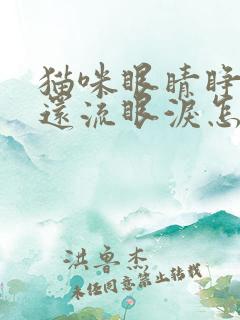 猫咪眼睛睁不开还流眼泪怎么回事