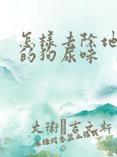 怎样去除地板上的狗尿味