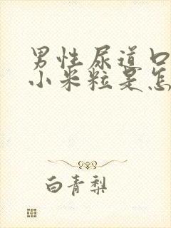 男性尿道口长肉小米粒是怎么回事