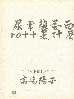 尿常规蛋白质pro++是什么意思