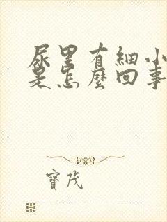 尿里有细小泡沫是怎么回事