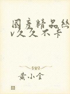 国产精品丝袜av久久不卡