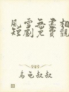 风雪无尽相思情短剧免费观看完整版