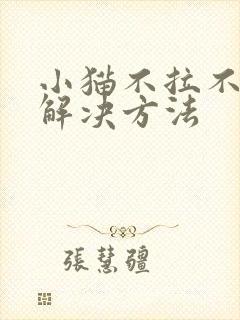 小猫不拉不尿的解决方法