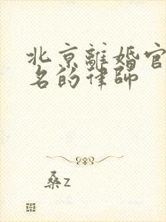 北京离婚官司有名的律师