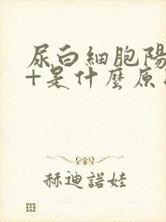 尿白细胞阳性1+是什么原因引起的