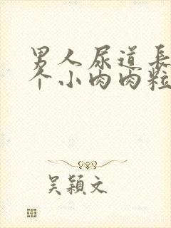 男人尿道长了一个小肉肉粒